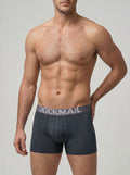 Micro-Mesh Boxer Brief - Gray